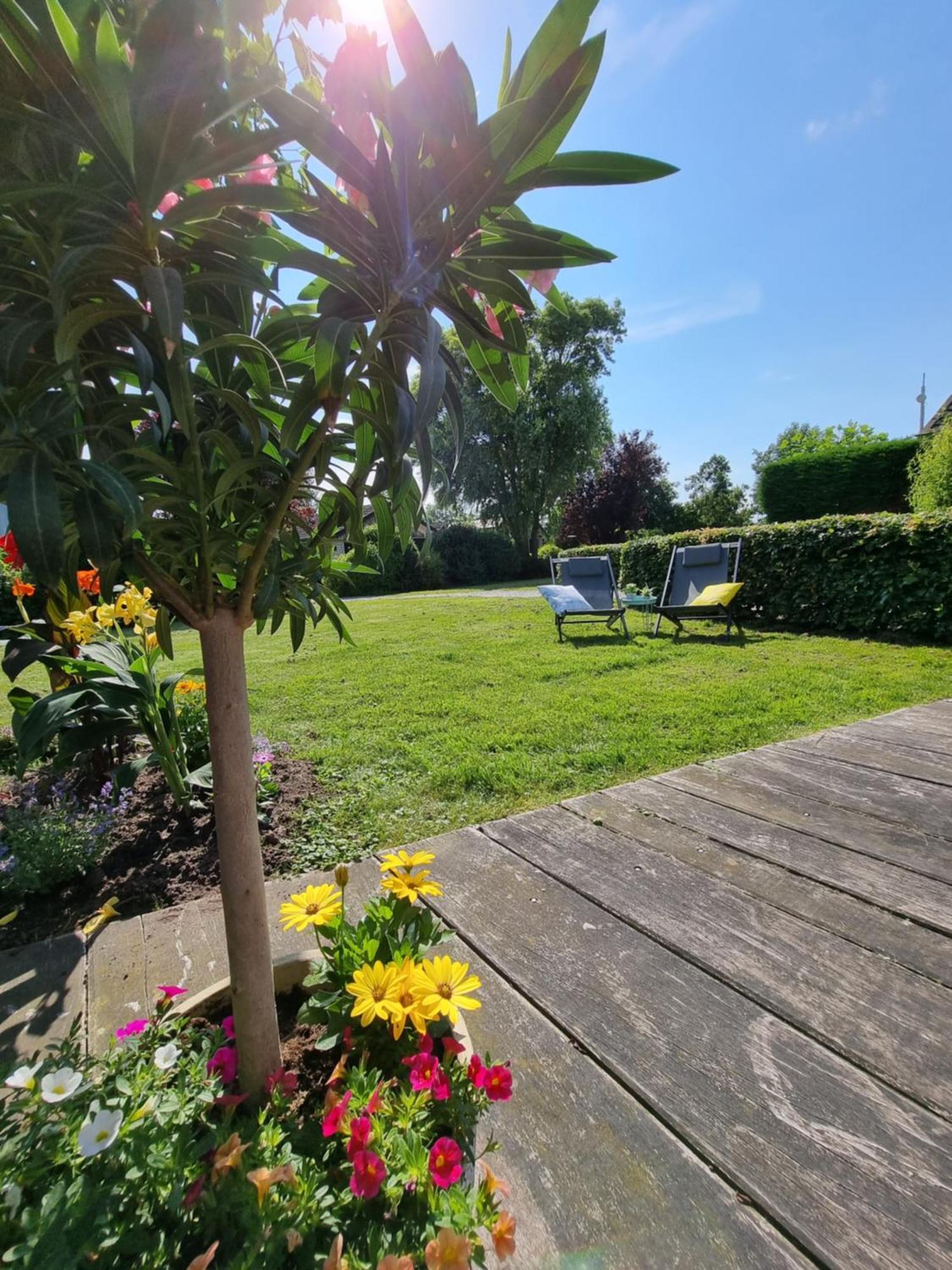 Gaastmeer Rietmeer Vakantiehuis Friesland מראה חיצוני תמונה